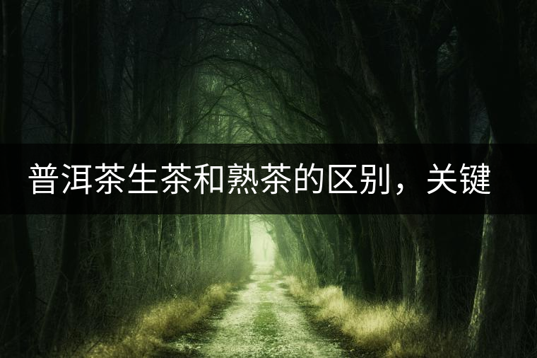 普洱茶生茶和熟茶的區(qū)別，關(guān)鍵在于前半生