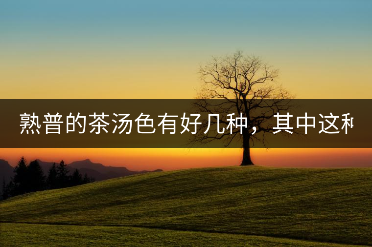 熟普的茶湯色有好幾種，其中這種不建議喝！