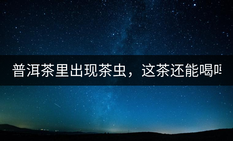 普洱茶里出現(xiàn)茶蟲，這茶還能喝嗎？