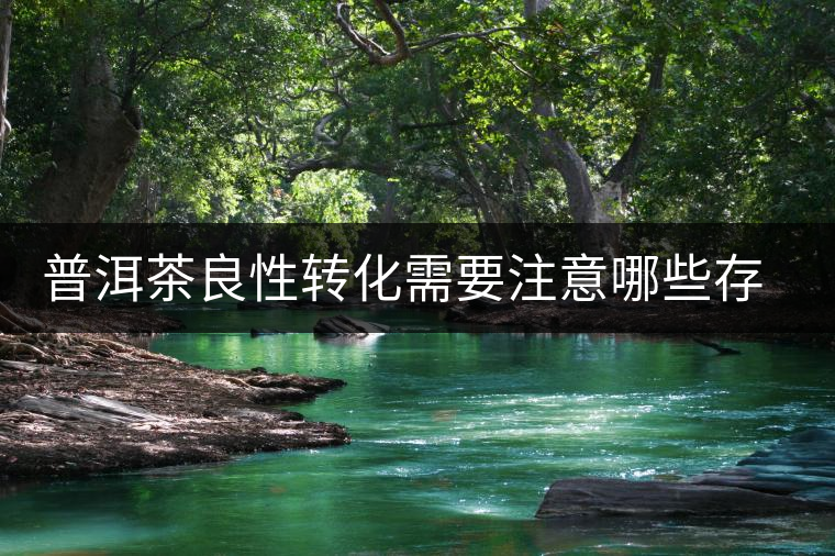 普洱茶良性轉化需要注意哪些存放問題？