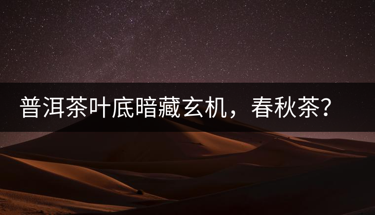 普洱茶葉底暗藏玄機(jī)，春秋茶？大樹茶？野生茶？班章料？你讀懂了嗎？
