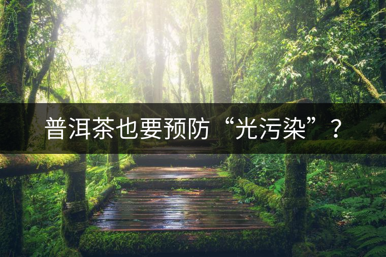 普洱茶也要預(yù)防“光污染”？