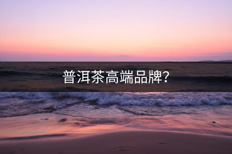 普洱茶高端品牌？