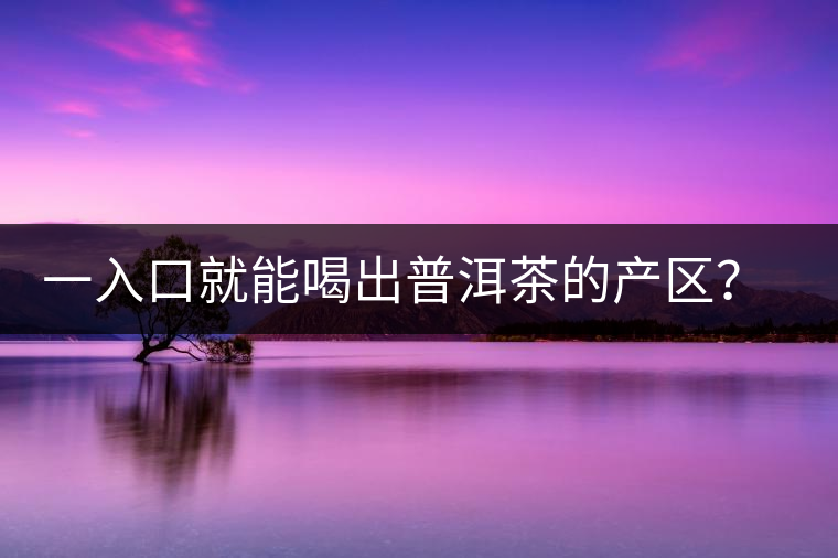 一入口就能喝出普洱茶的產(chǎn)區(qū)？怎么能不讀這篇文章呢？