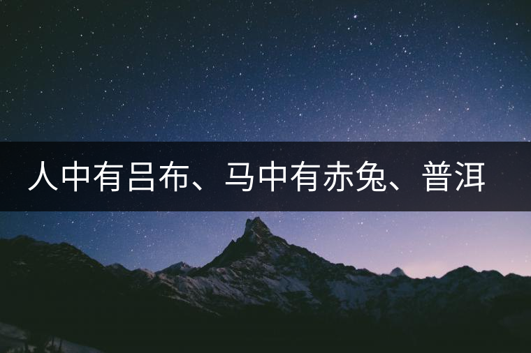 人中有呂布、馬中有赤兔、普洱中有茶化石：碎銀子！