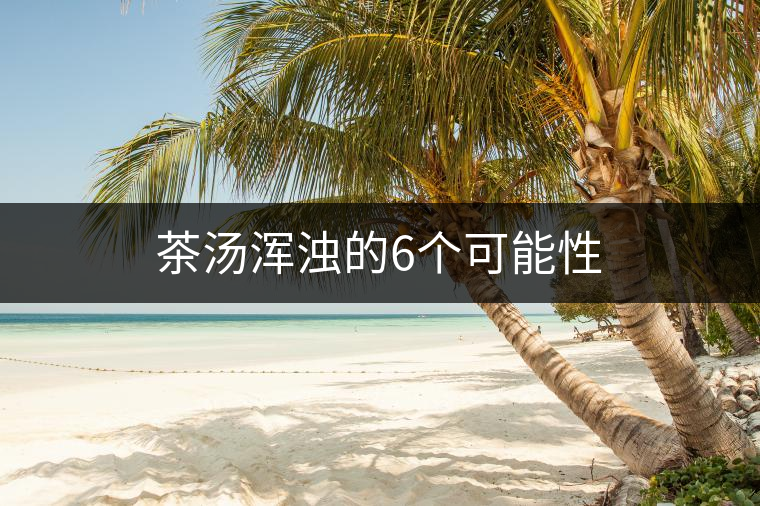 茶湯渾濁的6個可能性 茶湯渾濁的6個可能性