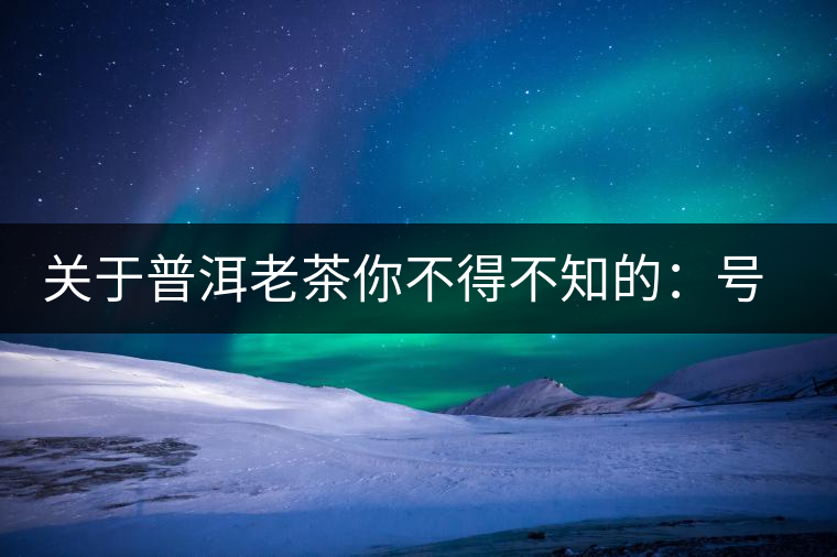 關(guān)于普洱老茶你不得不知的：號級茶、印級茶、七子餅茶