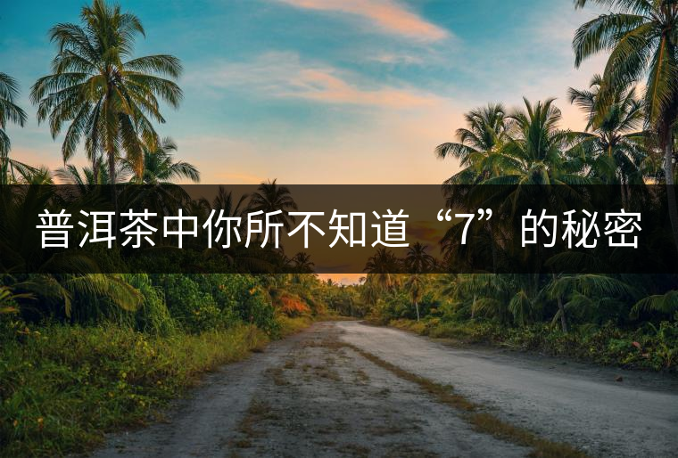普洱茶中你所不知道“7”的秘密