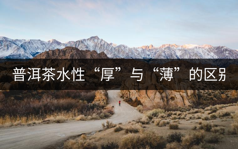 普洱茶水性“厚”與“薄”的區(qū)別！