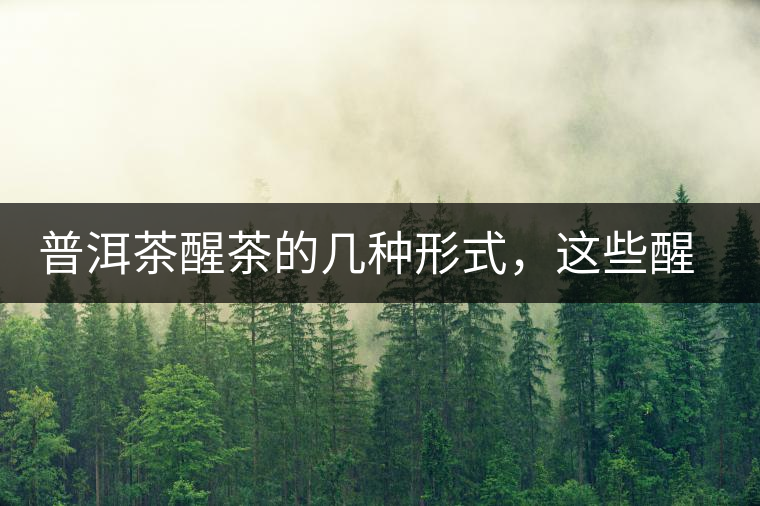 普洱茶醒茶的幾種形式，這些醒茶方法你都會了嗎？