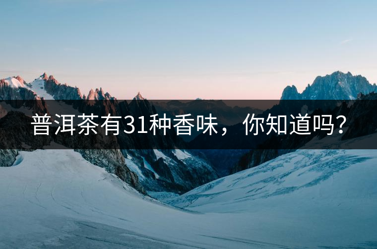 普洱茶有31種香味，你知道嗎？