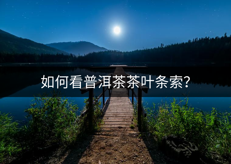 如何看普洱茶茶葉條索？