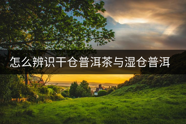 怎么辨識(shí)干倉普洱茶與濕倉普洱茶的區(qū)別? 怎么辨識(shí)干倉普洱茶與濕倉普洱茶的區(qū)別?