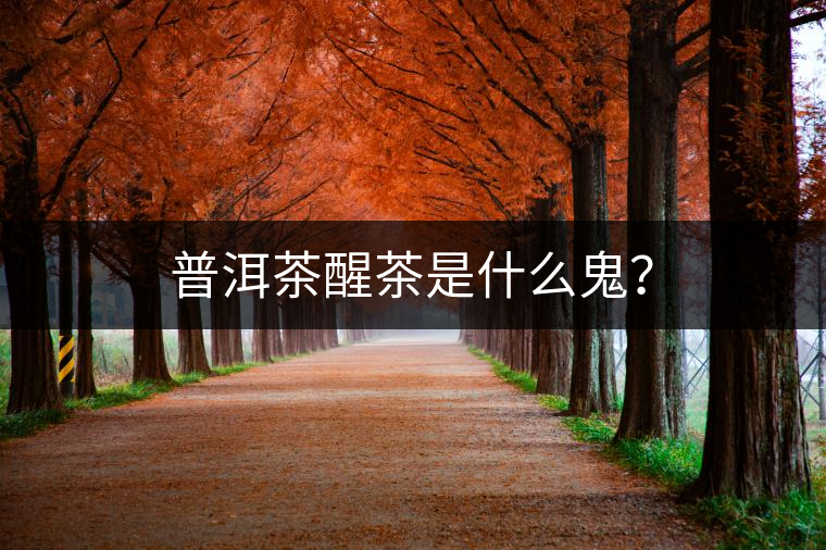 普洱茶醒茶是什么鬼？
