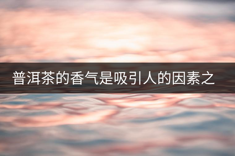 普洱茶的香氣是吸引人的因素之一 普洱茶的香氣是吸引人的因素之一
