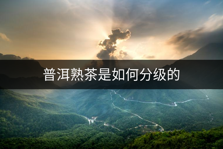 普洱熟茶是如何分級(jí)的 普洱熟茶是如何分級(jí)的