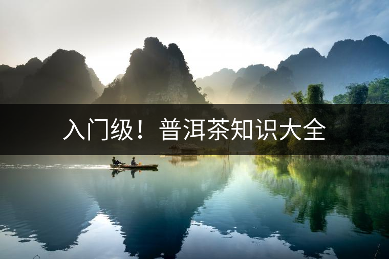 入門級!普洱茶知識大全 入門級!普洱茶知識大全