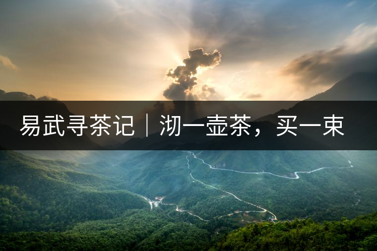 易武尋茶記｜沏一壺茶，買一束花，享半日余暇