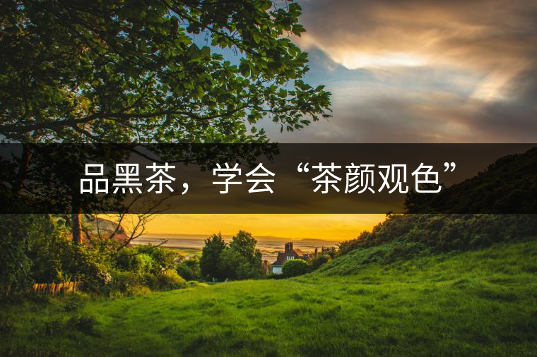品黑茶，學會“茶顏觀色”