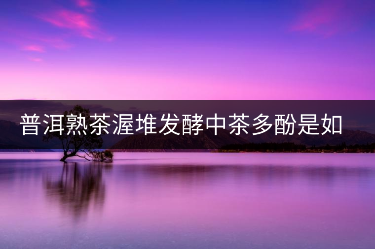 普洱熟茶渥堆發(fā)酵中茶多酚是如何轉(zhuǎn)化的? 普洱熟茶渥堆發(fā)酵中茶多酚是如何轉(zhuǎn)化的?