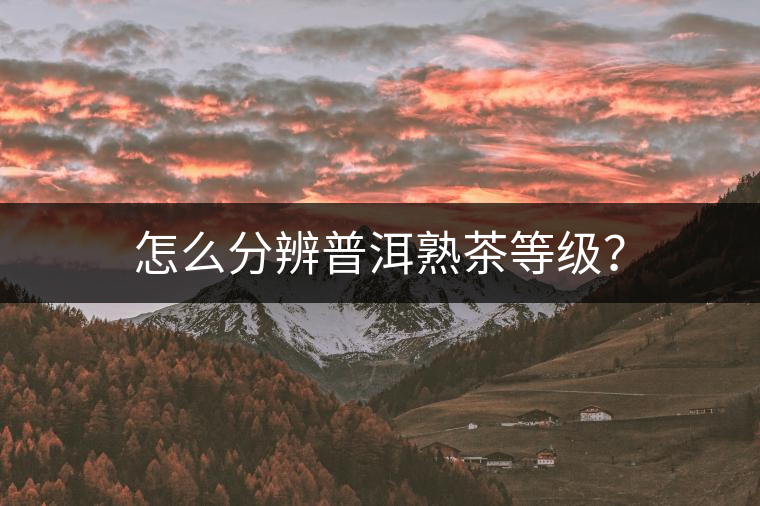 怎么分辨普洱熟茶等級(jí)？