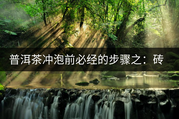 普洱茶沖泡前必經(jīng)的步驟之：磚茶如何撬？