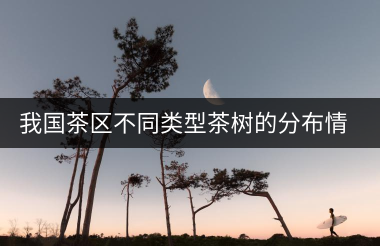 我國(guó)茶區(qū)不同類型茶樹(shù)的分布情況 我國(guó)茶區(qū)不同類型茶樹(shù)的分布情況