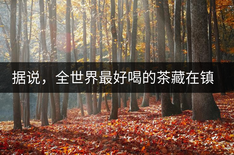 據(jù)說，全世界最好喝的茶藏在鎮(zhèn)沅