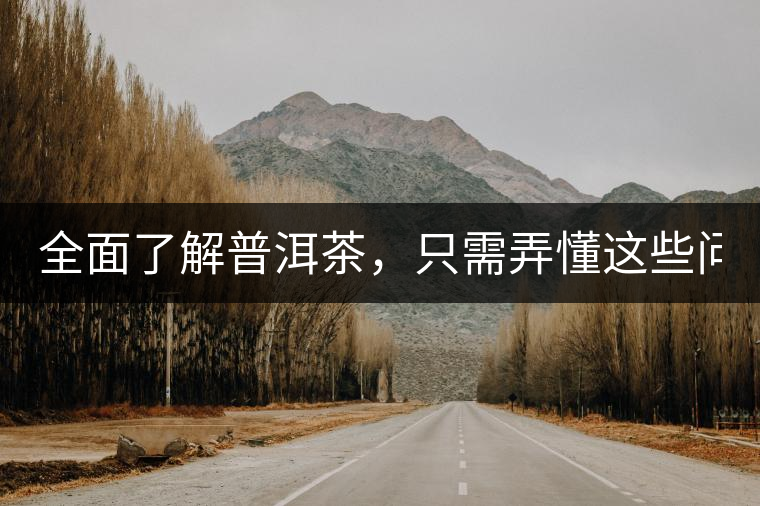 全面了解普洱茶，只需弄懂這些問(wèn)題！