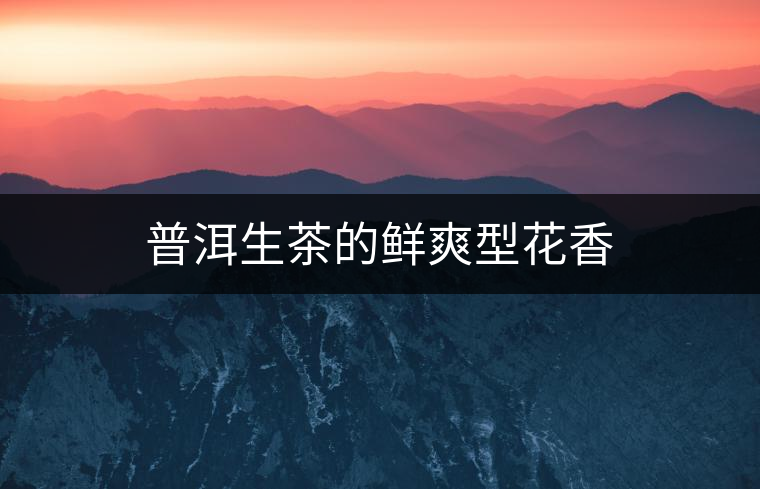 普洱生茶的鮮爽型花香 普洱生茶的鮮爽型花香
