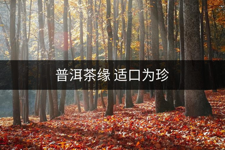普洱茶緣 適口為珍 普洱茶緣 適口為珍