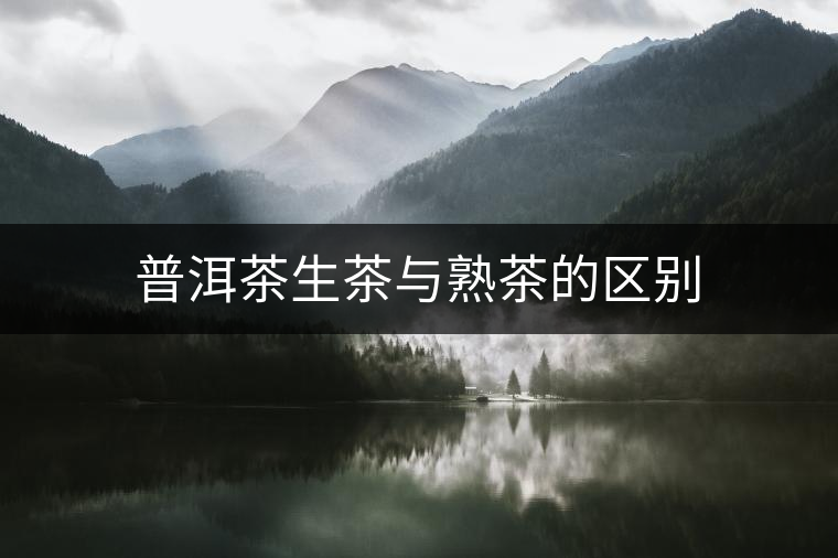 普洱茶生茶與熟茶的區(qū)別 普洱茶生茶與熟茶的區(qū)別