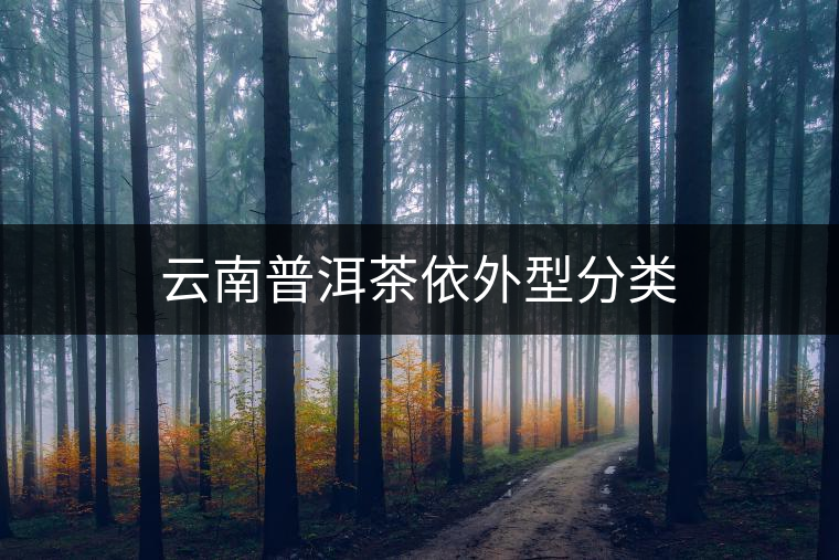 云南普洱茶依外型分類 云南普洱茶依外型分類