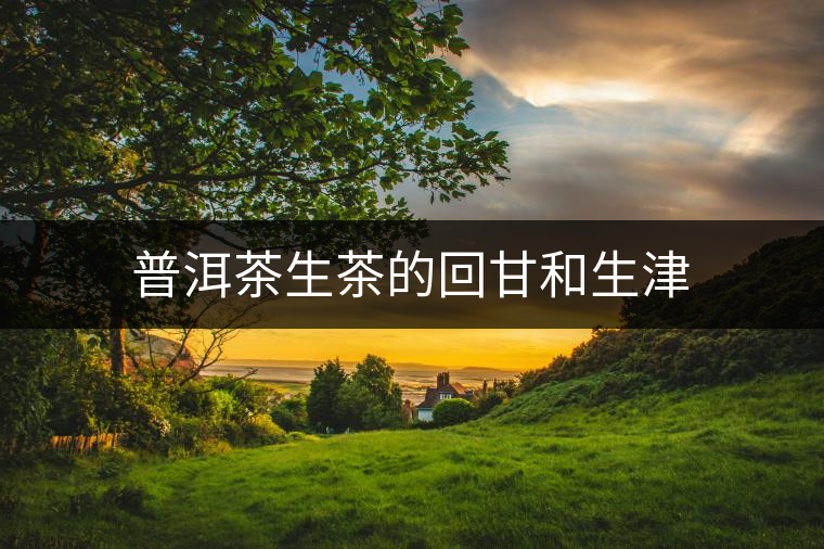 普洱茶生茶的回甘和生津
