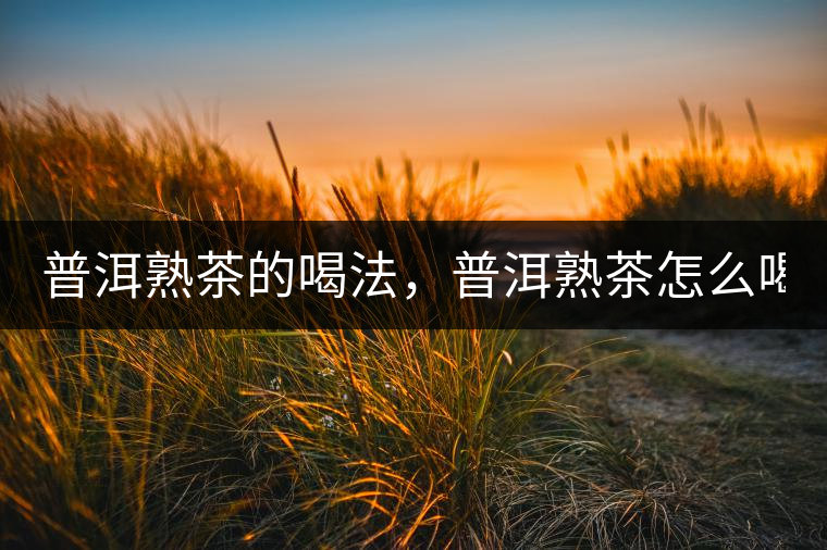 普洱熟茶的喝法，普洱熟茶怎么喝？