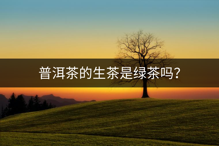 普洱茶的生茶是綠茶嗎？