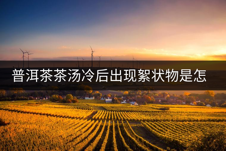 普洱茶茶湯冷后出現絮狀物是怎么回事？