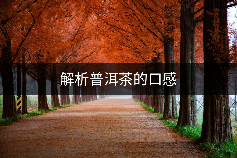 解析普洱茶的口感 解析普洱茶的口感