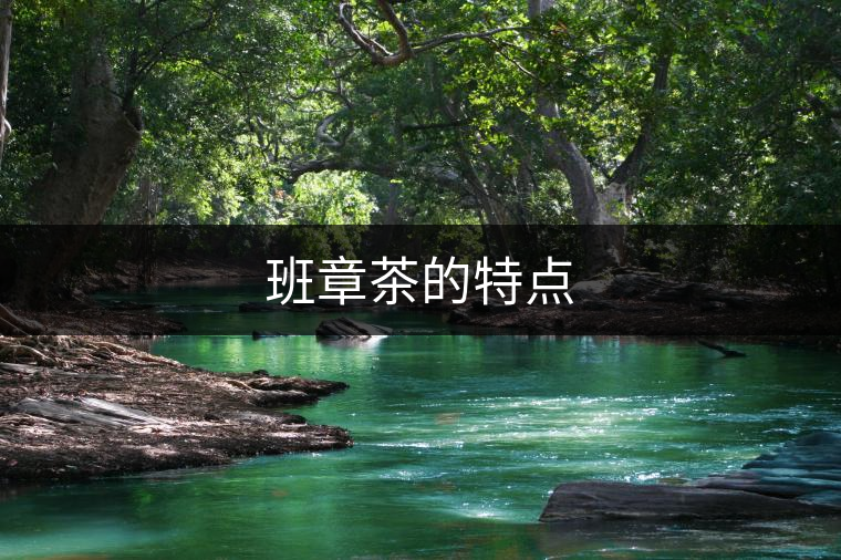 班章茶的特點 班章茶的特點