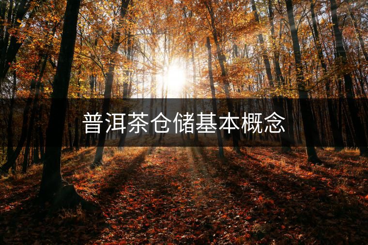 普洱茶倉儲基本概念 普洱茶倉儲基本概念