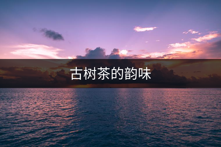 古樹茶的韻味 古樹茶的韻味