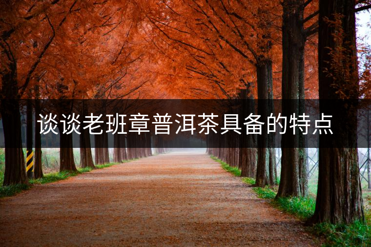 談?wù)劺习嗾缕斩杈邆涞奶攸c