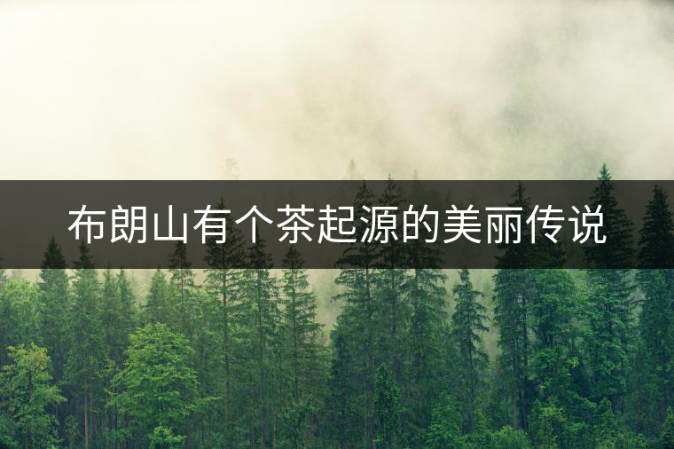 布朗山有個(gè)茶起源的美麗傳說(shuō)