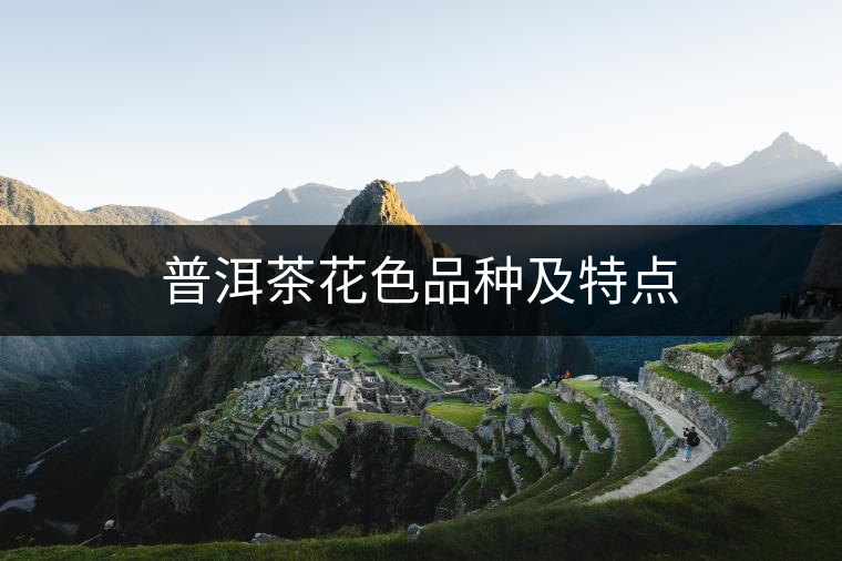 普洱茶花色品種及特點(diǎn) 普洱茶花色品種及特點(diǎn)