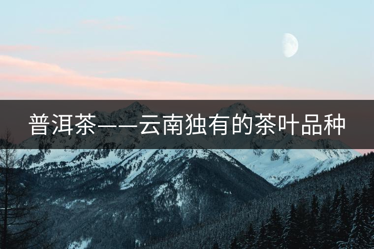 普洱茶——云南獨(dú)有的茶葉品種