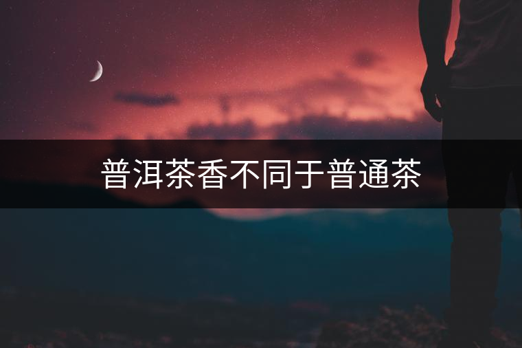 普洱茶香不同于普通茶 普洱茶香不同于普通茶