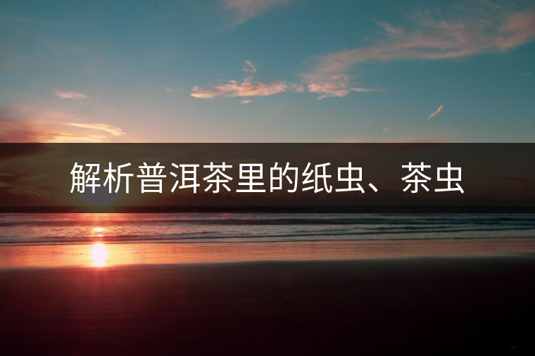 解析普洱茶里的紙蟲、茶蟲