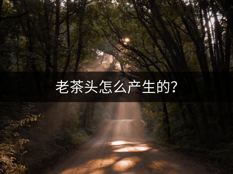 老茶頭怎么產(chǎn)生的？