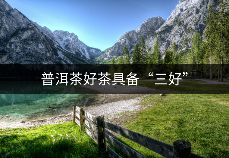 普洱茶好茶具備“三好” 普洱茶好茶具備“三好”