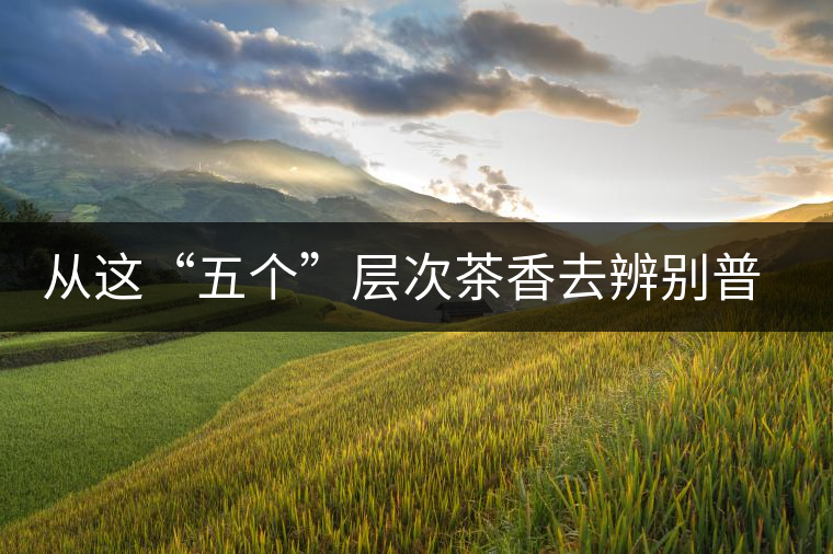 從這“五個(gè)”層次茶香去辨別普洱茶的高度層次超準(zhǔn) 從這“五個(gè)”層次茶香去辨別普洱茶的高度層次超準(zhǔn)